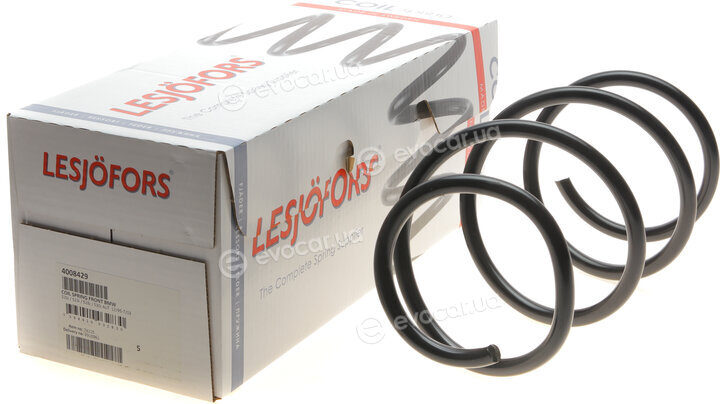 Lesjofors 4008429