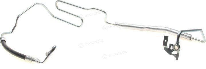 AIC 54954