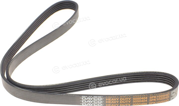 Dayco 5PK1025HD