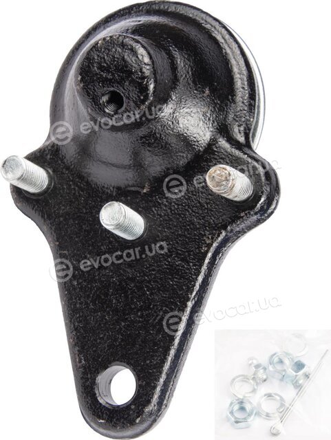 Raiso RL433045T