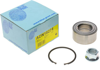 Blue Print ADN18274