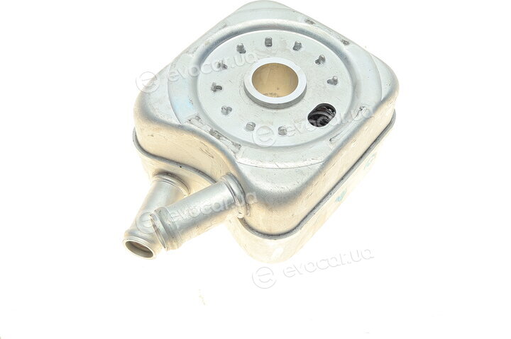 Van Wezel 58003215