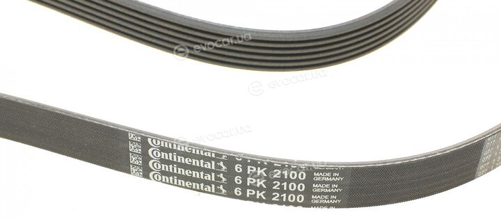 Continental 6PK2100