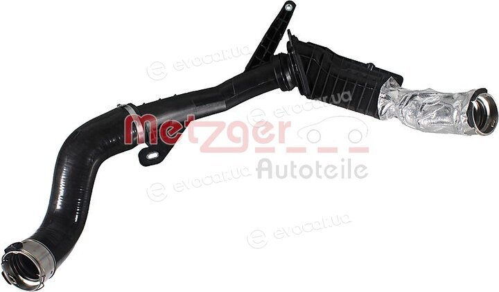 Metzger 2401179