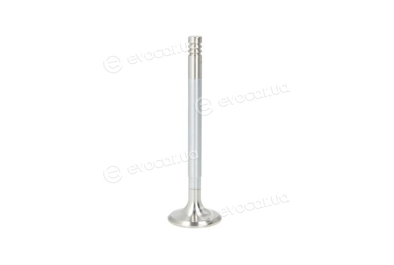 Intervalves 3239.036