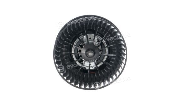 Mahle AB 243 000P