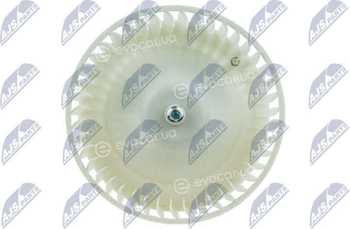 NTY EWN-NS-004
