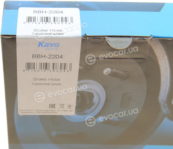 Kavo BBH-2204