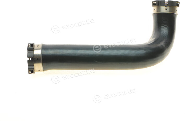 Solgy 114256