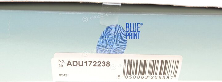 Blue Print ADU172238