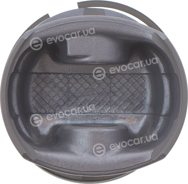 Mahle 033 01 01