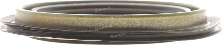 Solgy 216333