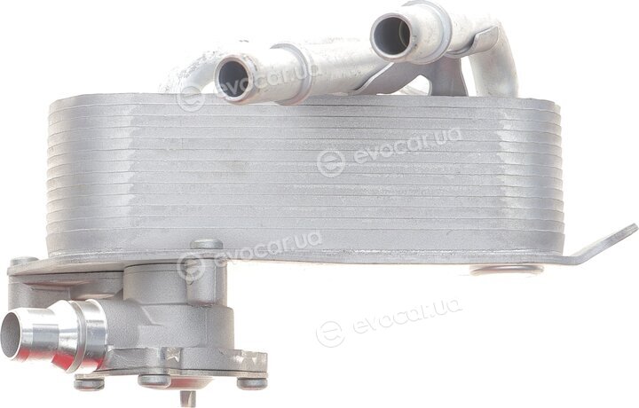 Adler 17217536929
