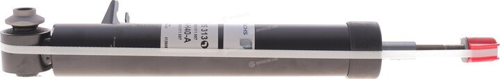 Sachs 315 313