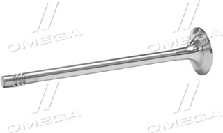 Gunes 6821