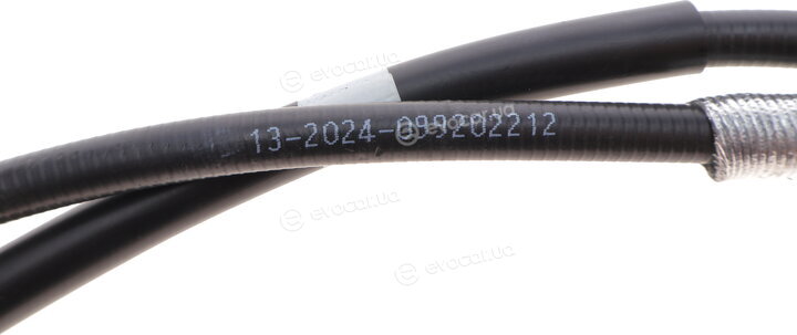Solgy 219069