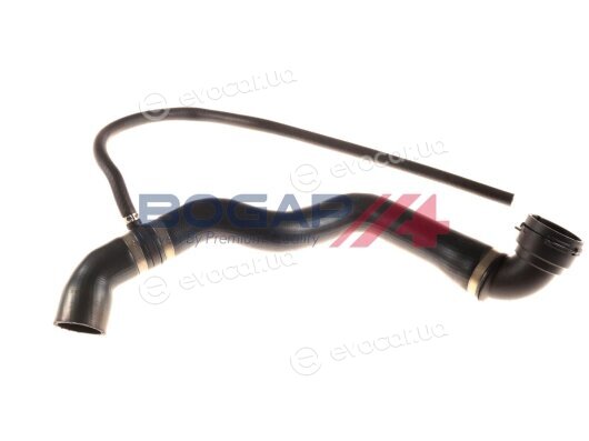 Bogap C4228169