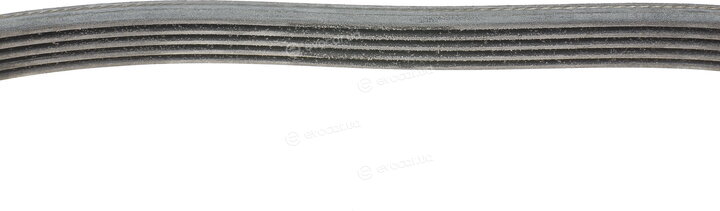 Continental 5PK705 ELAST