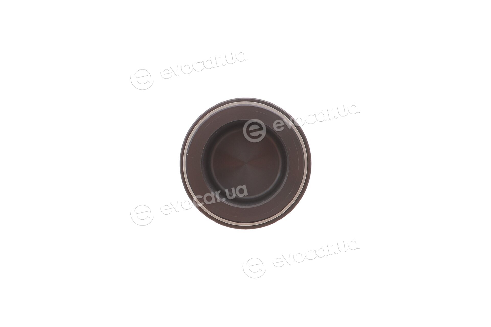 Frenkit P443201
