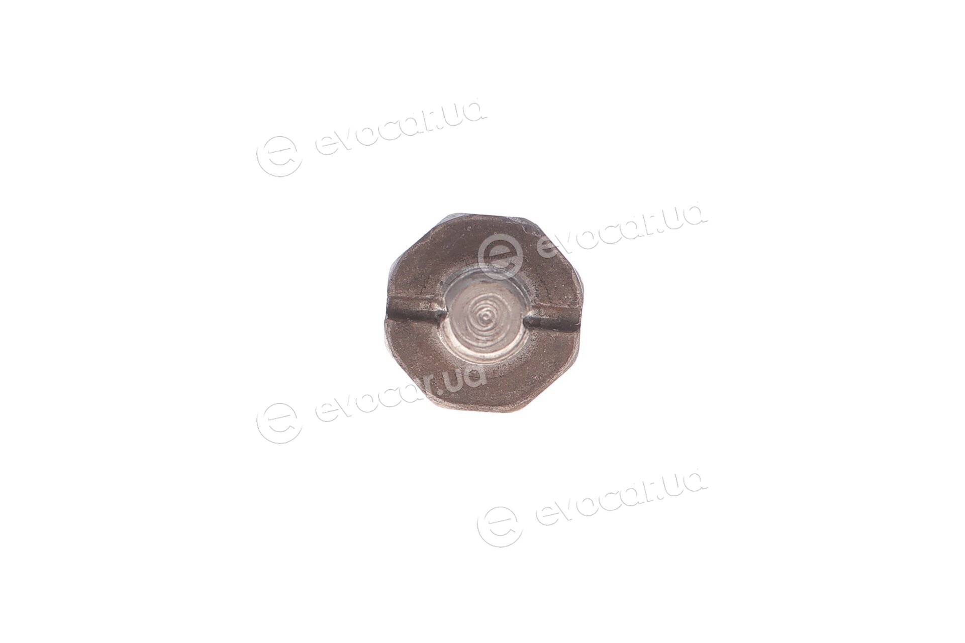 Borsehung B12215