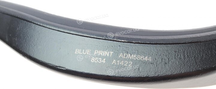 Blue Print ADM58644