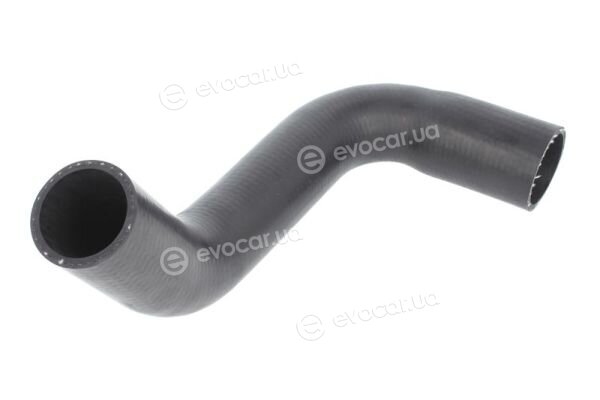 Thermotec DCD018TT