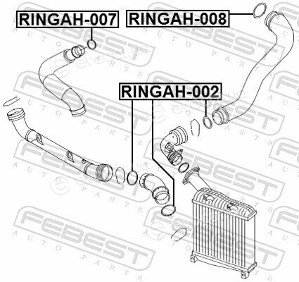 Febest RINGAH-008