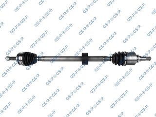 GSP 259509