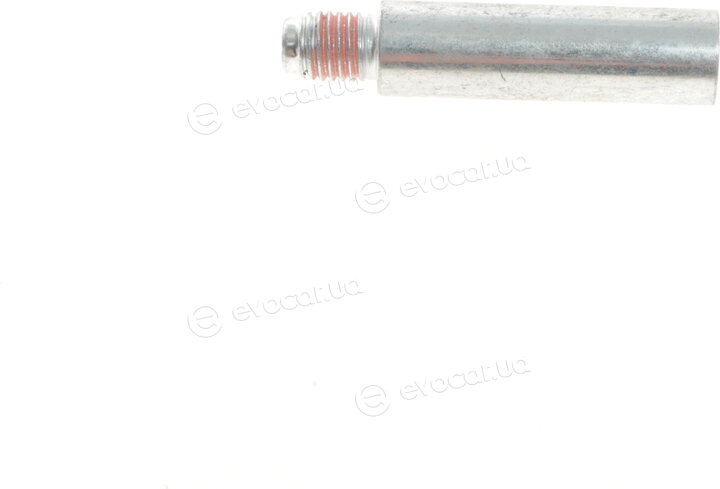 Solgy 223008