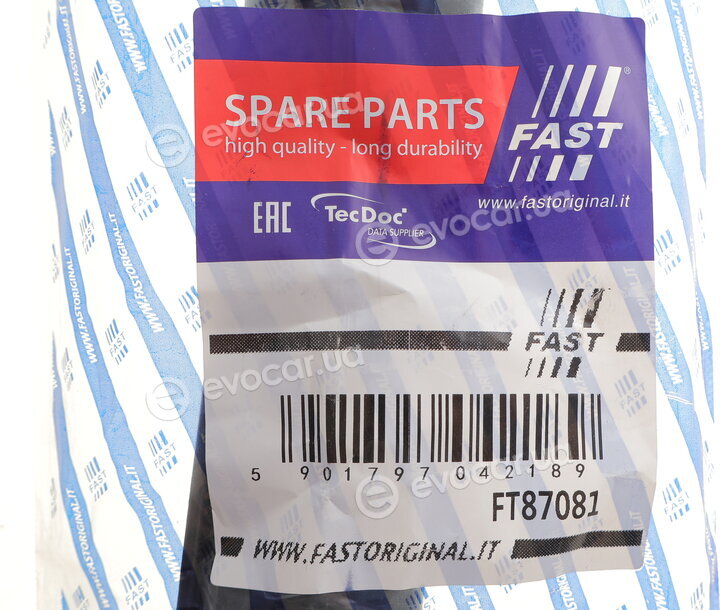 Fast FT87081