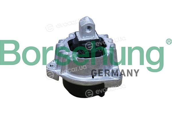 Borsehung B12911