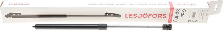 Lesjofors 8056838