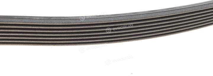 Continental 7PK1770
