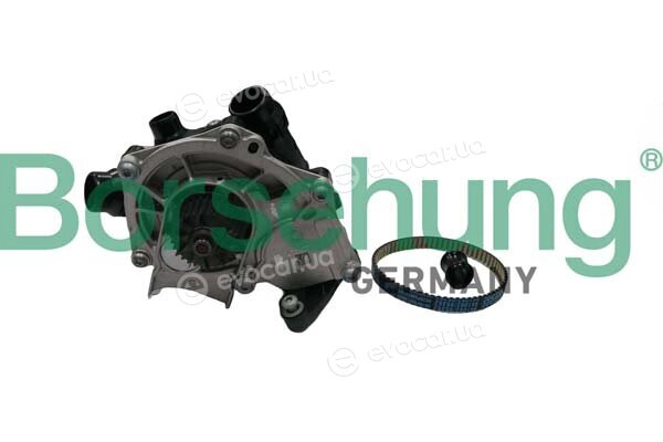Borsehung B11210