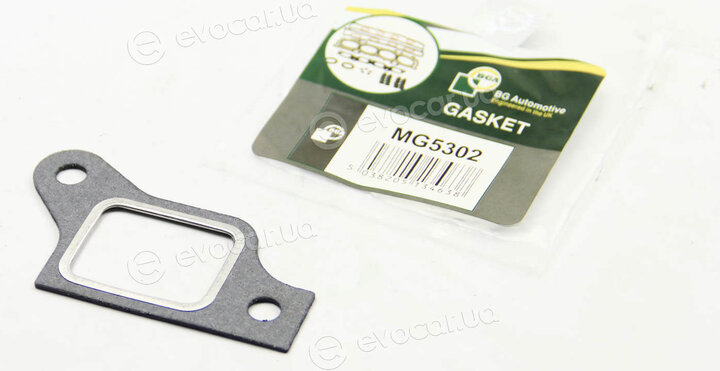 BGA MG5302