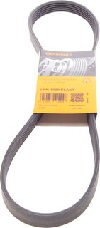 Continental 6PK1029 ELAST
