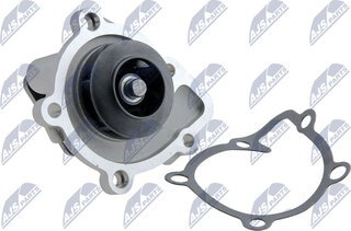 NTY CPW-CH-011