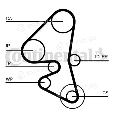 Continental CT1162WP3