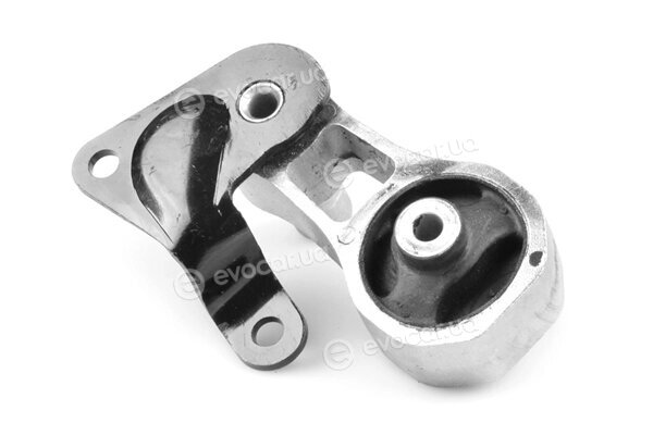 Tedgum TED03610