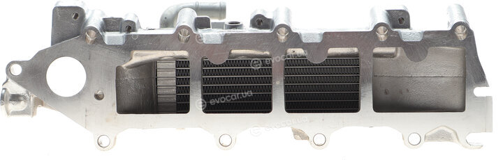 Van Wezel 58004376