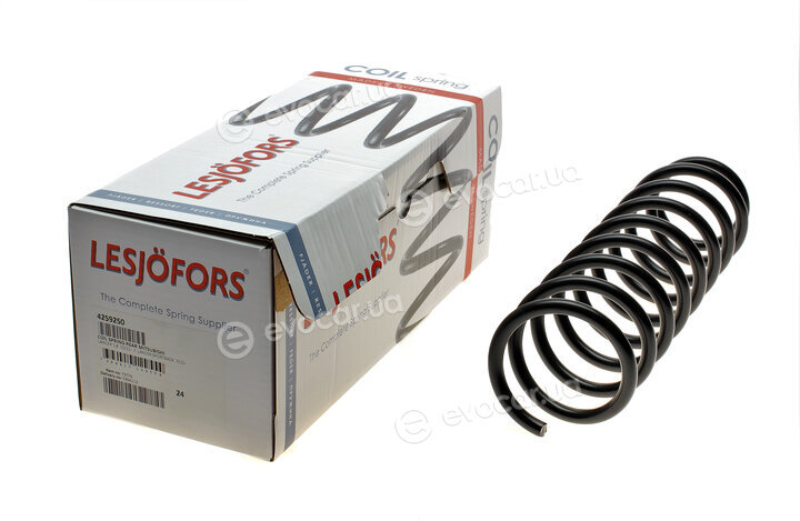 Lesjofors 4259250