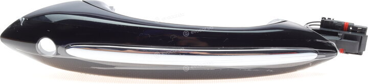 Solgy 305068