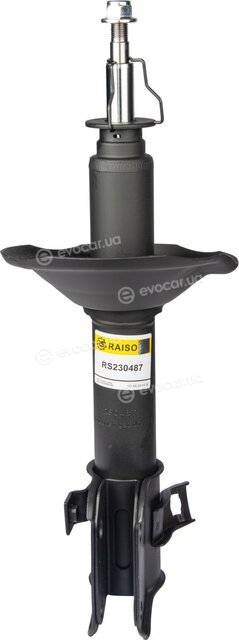 Raiso RS230487