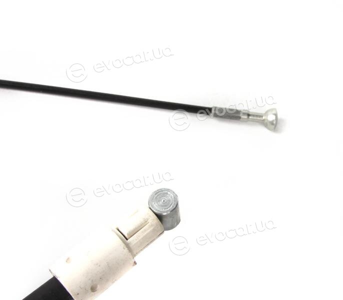Solgy 219038