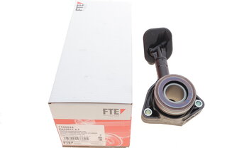 FTE 1100032