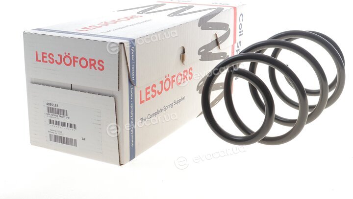 Lesjofors 4095163