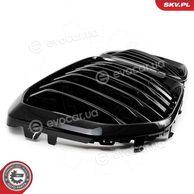 SKV 66SKV300