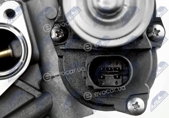 NTY EGR-VW-009