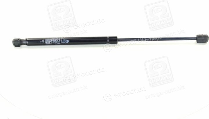Magneti Marelli 430719017300