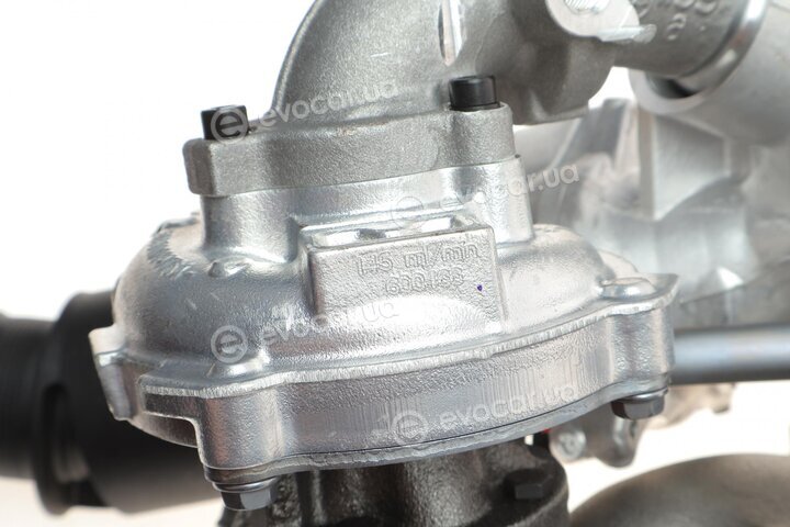 BorgWarner 10009880113